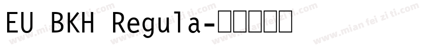 EU BKH Regula字体转换